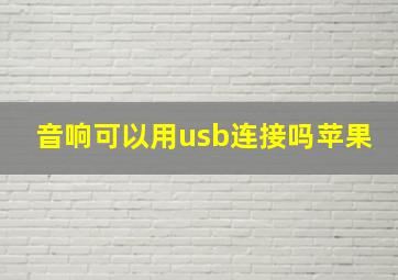 音响可以用usb连接吗苹果