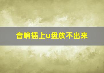 音响插上u盘放不出来