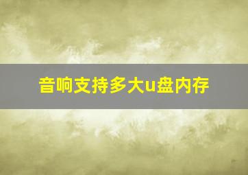 音响支持多大u盘内存