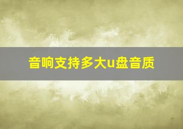 音响支持多大u盘音质