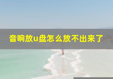 音响放u盘怎么放不出来了