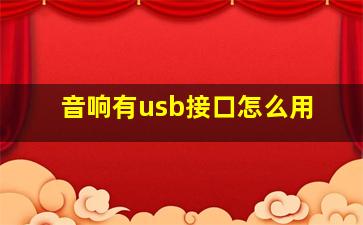 音响有usb接口怎么用