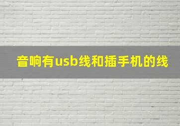 音响有usb线和插手机的线