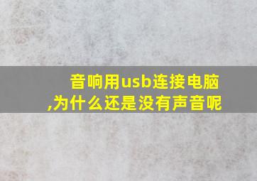 音响用usb连接电脑,为什么还是没有声音呢