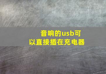 音响的usb可以直接插在充电器