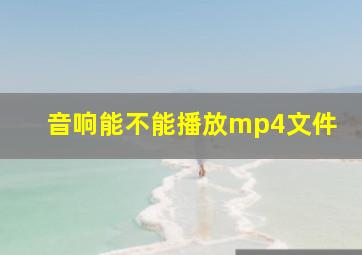 音响能不能播放mp4文件