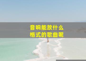 音响能放什么格式的歌曲呢