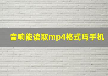 音响能读取mp4格式吗手机