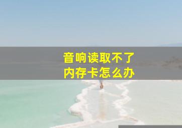 音响读取不了内存卡怎么办