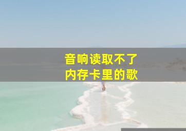 音响读取不了内存卡里的歌