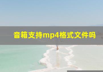 音箱支持mp4格式文件吗