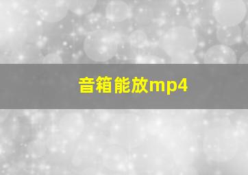 音箱能放mp4