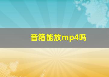 音箱能放mp4吗