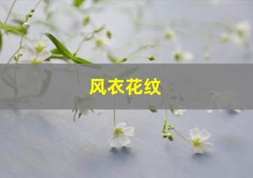 风衣花纹