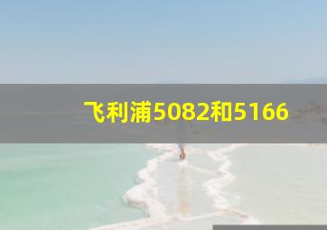 飞利浦5082和5166