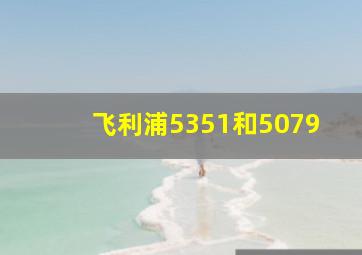 飞利浦5351和5079