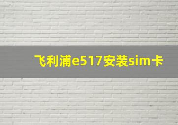 飞利浦e517安装sim卡