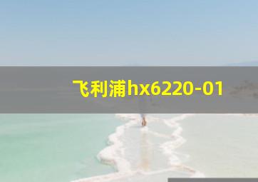 飞利浦hx6220-01