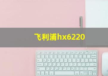 飞利浦hx6220