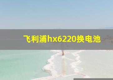 飞利浦hx6220换电池