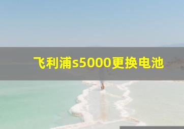 飞利浦s5000更换电池