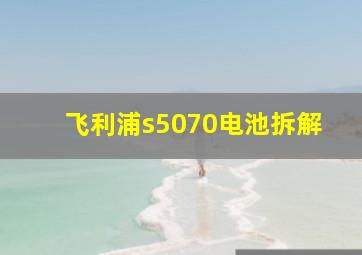 飞利浦s5070电池拆解