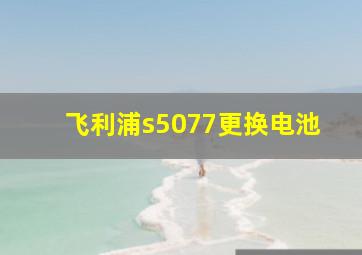 飞利浦s5077更换电池