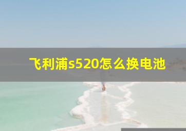 飞利浦s520怎么换电池