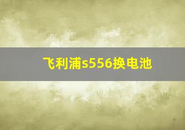 飞利浦s556换电池