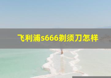 飞利浦s666剃须刀怎样