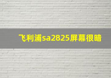 飞利浦sa2825屏幕很暗