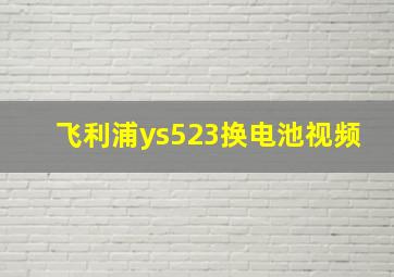 飞利浦ys523换电池视频