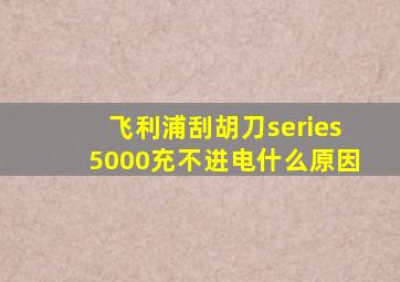 飞利浦刮胡刀series5000充不进电什么原因