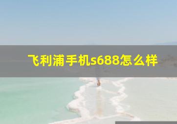 飞利浦手机s688怎么样