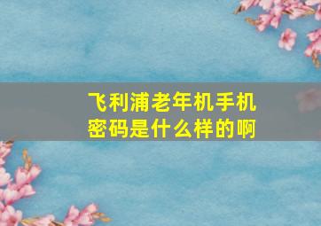 飞利浦老年机手机密码是什么样的啊