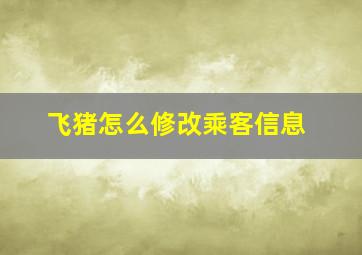 飞猪怎么修改乘客信息