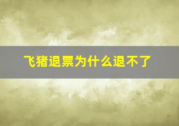 飞猪退票为什么退不了