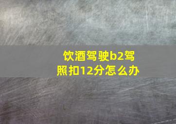 饮酒驾驶b2驾照扣12分怎么办