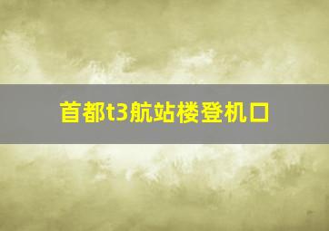 首都t3航站楼登机口