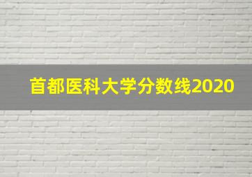 首都医科大学分数线2020