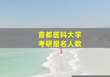 首都医科大学考研报名人数