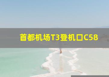 首都机场T3登机口C58