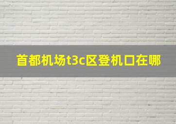 首都机场t3c区登机口在哪