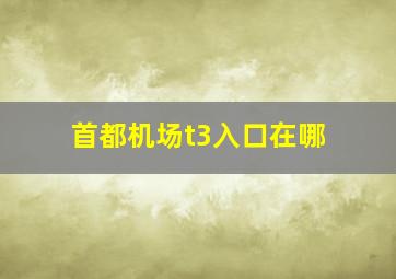 首都机场t3入口在哪