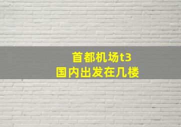 首都机场t3国内出发在几楼