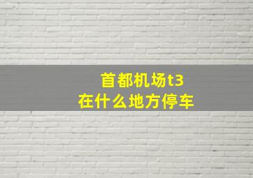 首都机场t3在什么地方停车