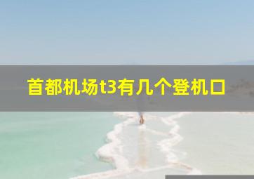 首都机场t3有几个登机口