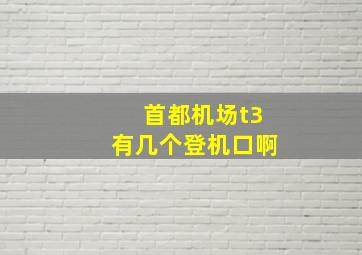 首都机场t3有几个登机口啊