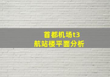 首都机场t3航站楼平面分析