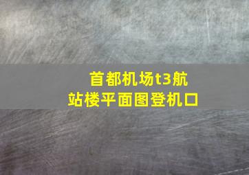 首都机场t3航站楼平面图登机口